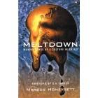 Meltdown by Marcus Honeysett